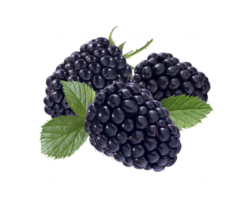 Päärynäpuu 4